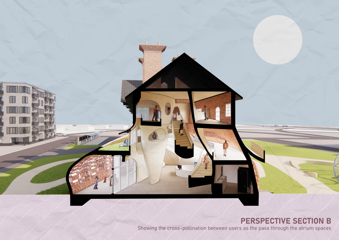 Perspective Section B