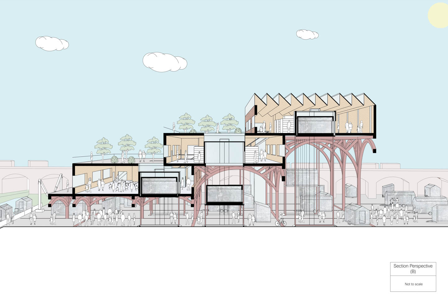 Perspective section